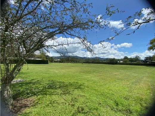 Rionegro, Departamento de Antioquiaの土地