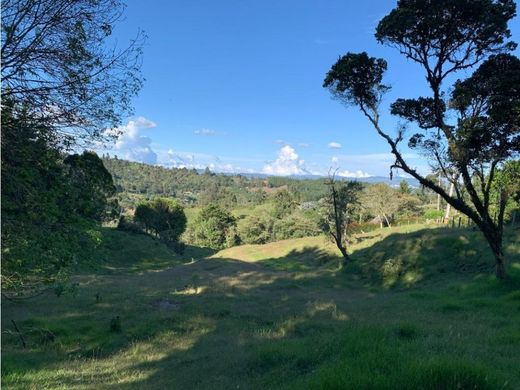 Land in Rionegro, Departamento de Antioquia