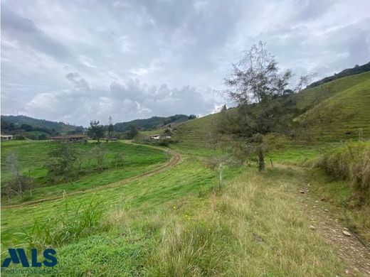 토지 / La Ceja, Departamento de Antioquia