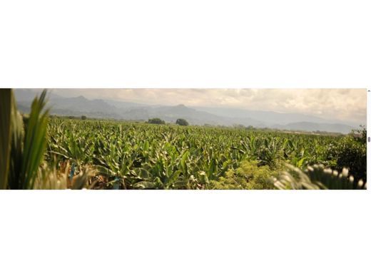 Farmhouse in Carepa, Departamento de Antioquia