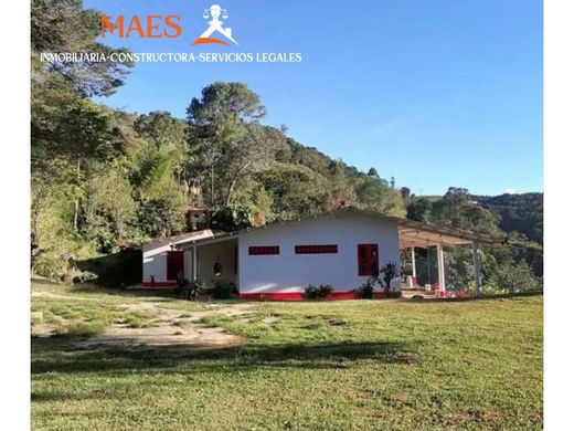 Rustik ya da çiftlik Cisneros, Departamento de Antioquia