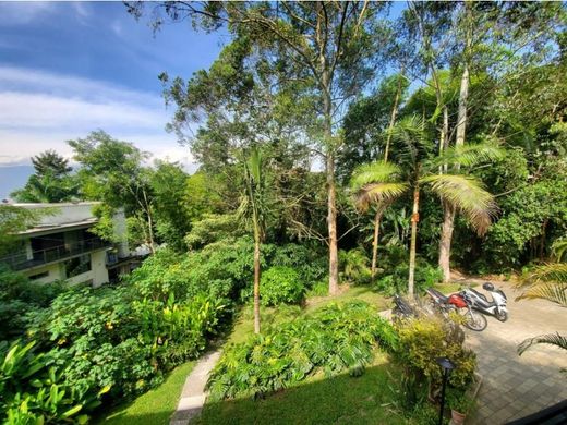 Gospodarstwo w Medellín, Departamento de Antioquia