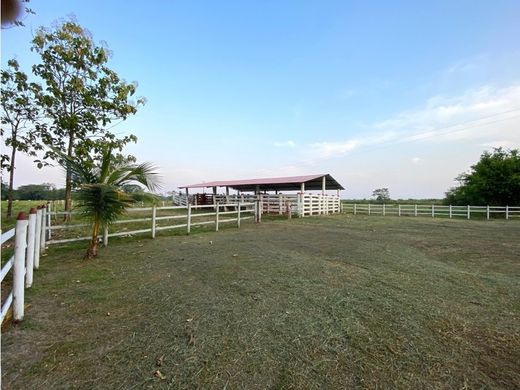 Puerto López, Departamento del Metaのカントリー風またはファームハウス