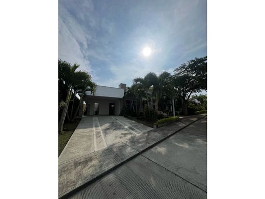 Gospodarstwo w La Tebaida, Quindío Department