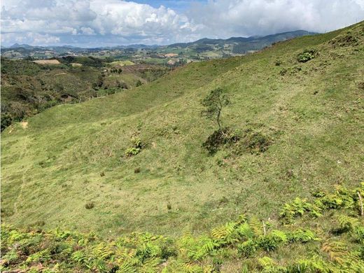 Участок, La Unión, Departamento de Antioquia