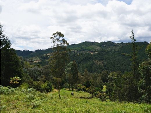 地皮  Rionegro, Departamento de Antioquia