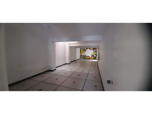 地皮  麦德林, Medellín