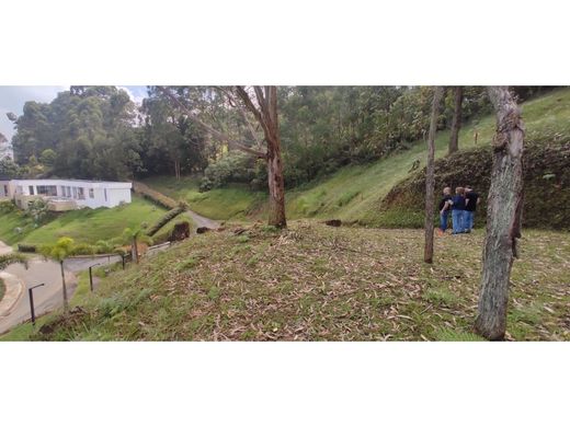 ‏קרקע ב  מדיין
, Medellín