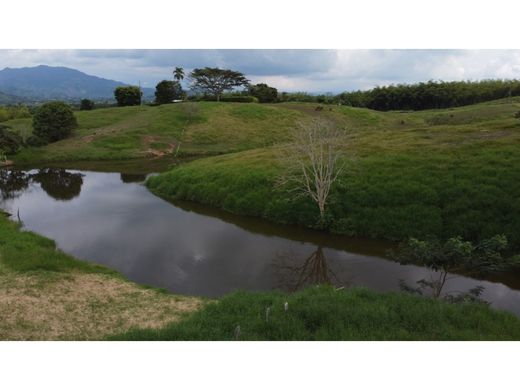 Terrain à Pereira, Departamento de Risaralda