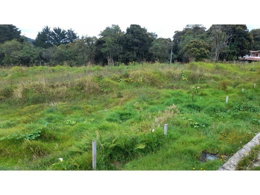 Terreno - Envigado, Departamento de Antioquia