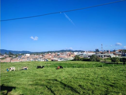 Arsa La Unión, Departamento de Antioquia