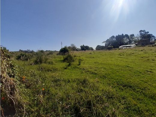 ‏קרקע ב  מדיין
, Medellín