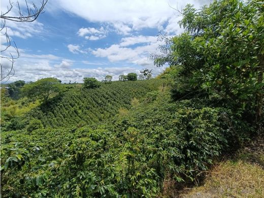 Rustykalny lub Wiejski w Montenegro, Quindío Department