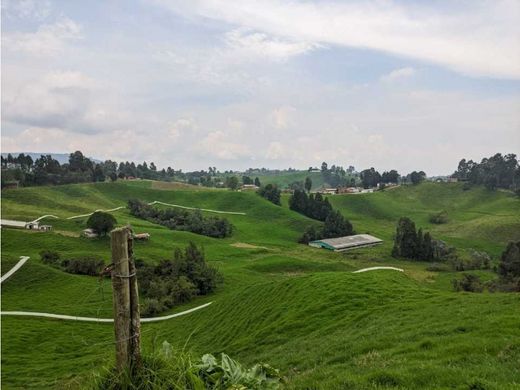 Ferme à Bello, Departamento de Antioquia