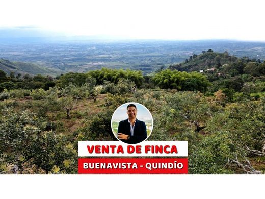 Buenavista, San Andrésのカントリー風またはファームハウス