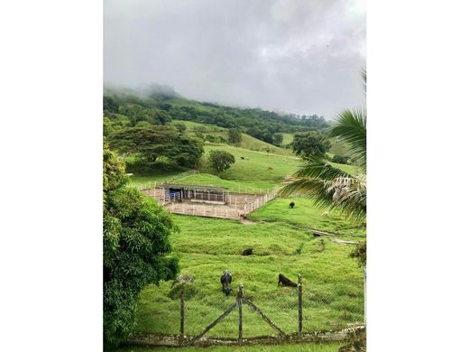 Farmhouse in Viterbo, Departamento de Caldas