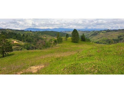 Quinta rústica - Timbío, Departamento del Cauca