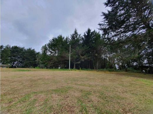 أرض ﻓﻲ ميديلين, Medellín