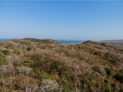 토지 / Cartagena, Cartagena de Indias