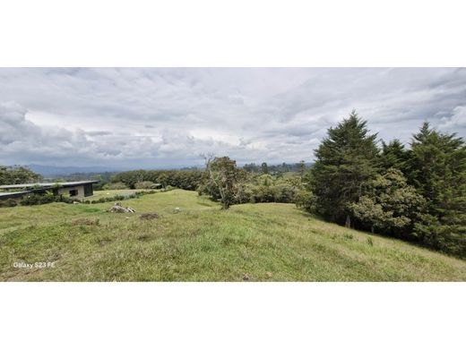 토지 / Rionegro, Departamento de Antioquia