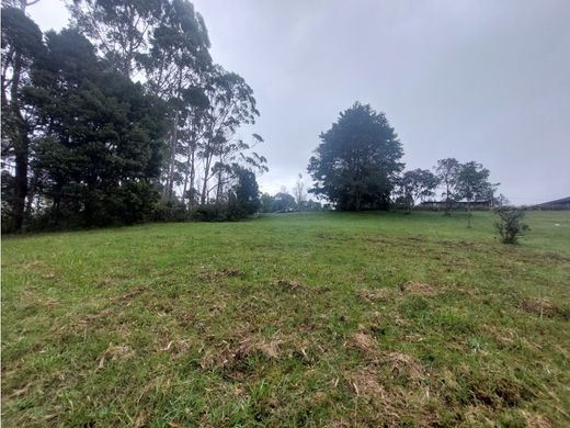 Arsa Envigado, Departamento de Antioquia