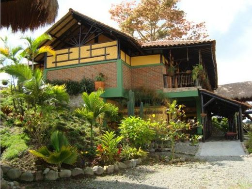 토지 / Pereira, Departamento de Risaralda