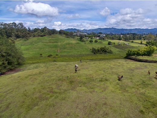 Terreno a Rionegro, Departamento de Antioquia