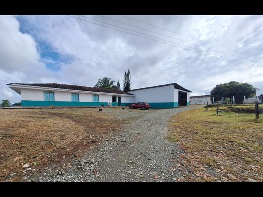 Rustik ya da çiftlik Caicedonia, Departamento del Valle del Cauca