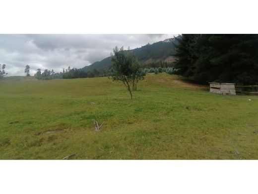 Участок, Cajicá, Departamento de Cundinamarca