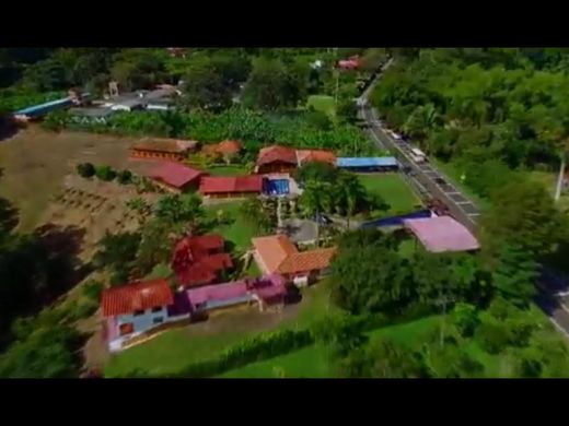 전원/농가 / La Tebaida, Quindío Department