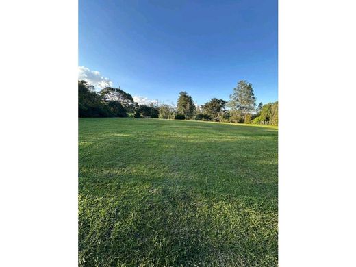 Grundstück in Rionegro, Departamento de Antioquia