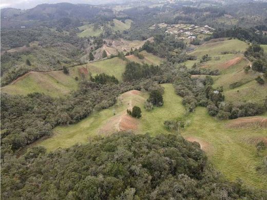 Land in Retiro, Departamento de Antioquia