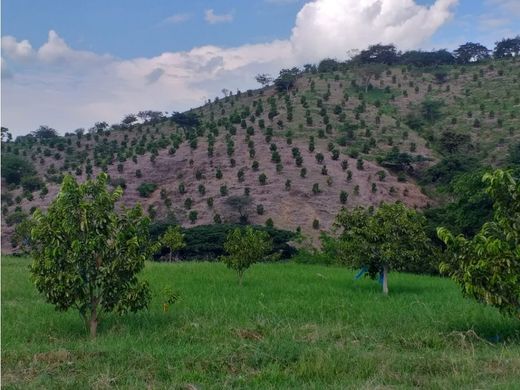 ‏בתים כפריים או חוות ב  Toro, Departamento del Valle del Cauca
