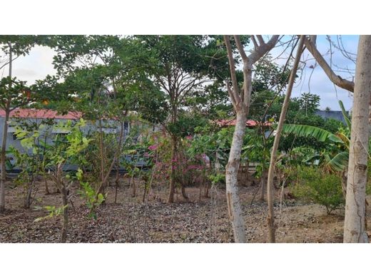 Terreno a San Antero, Departamento de Córdoba