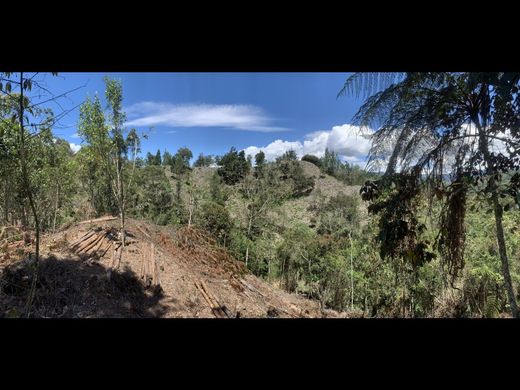 地皮  Retiro, Departamento de Antioquia