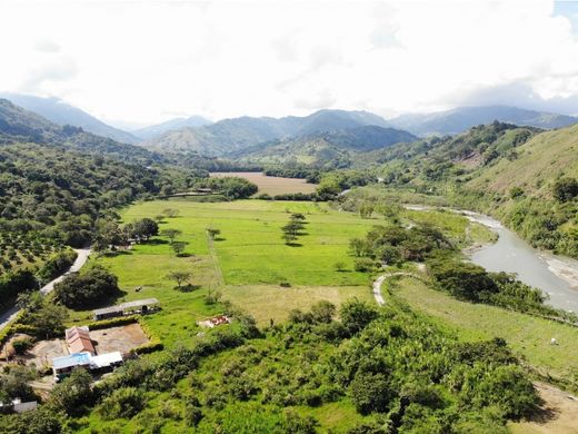 Armenia, Quindío Departmentのカントリー風またはファームハウス