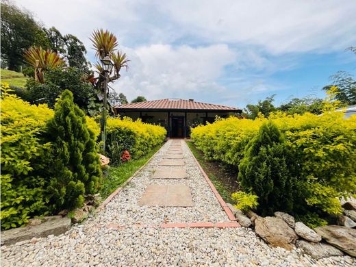 Gospodarstwo w Rionegro, Departamento de Antioquia