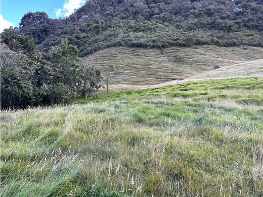‏בתים כפריים או חוות ב  La Ceja, Departamento de Antioquia