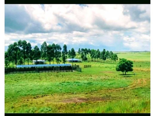 Quinta rústica - Puerto Gaitán, Departamento del Meta