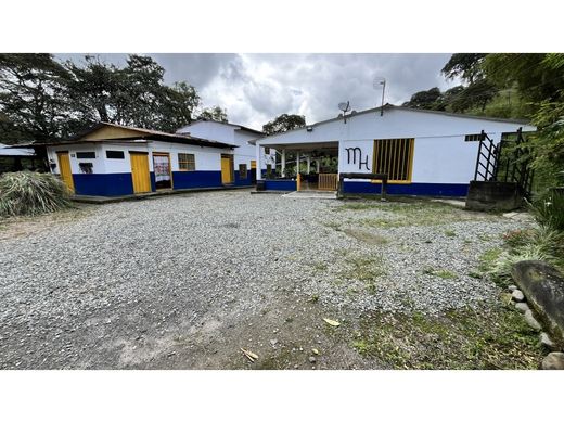 ﻣﻨﺰﻝ ﺭﻳﻔﻲ/ ﺑﻴﺖ ﻤﺰﺭﻋﺔ ﻓﻲ Calarcá, Calarca