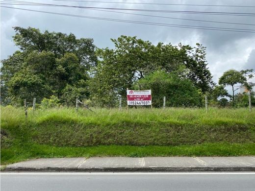 Terreno - Armenia, Quindío Department