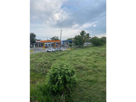 地皮  卡利, Cali