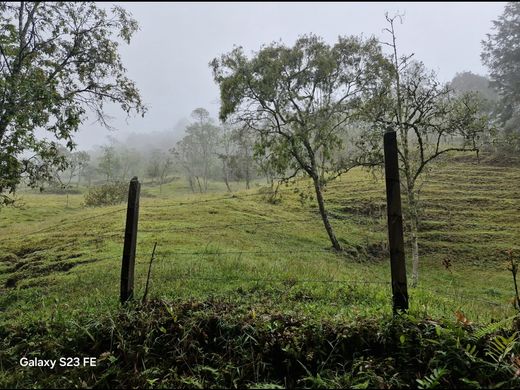 Grond in Rionegro, Departamento de Antioquia