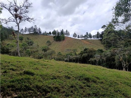 Grundstück in Retiro, Departamento de Antioquia