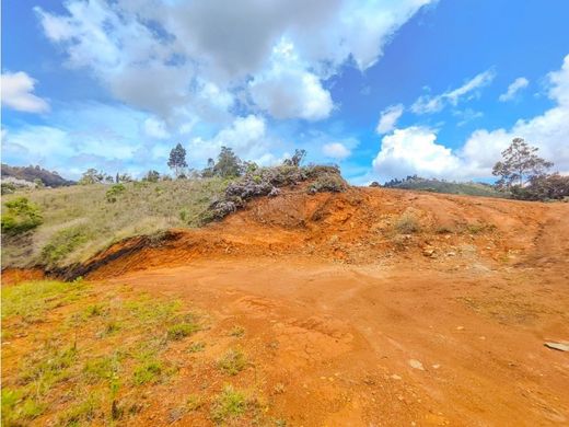 Rustik ya da çiftlik Rionegro, Departamento de Antioquia