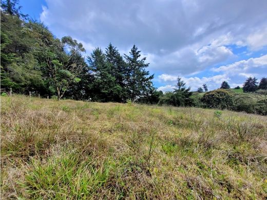 ‏קרקע ב  Rionegro, Departamento de Antioquia