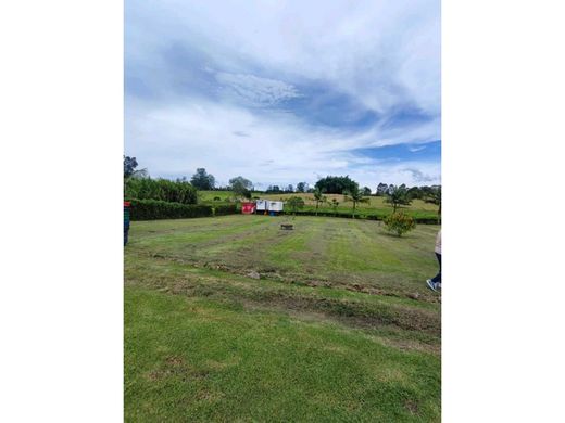 ‏קרקע ב  Rionegro, Departamento de Antioquia