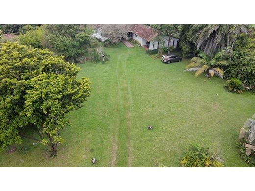 地皮  卡利, Cali