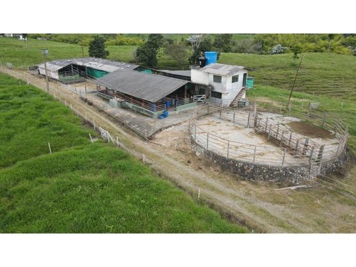 Ρουστίκ ή αγροικία σε Circasia, Quindío Department