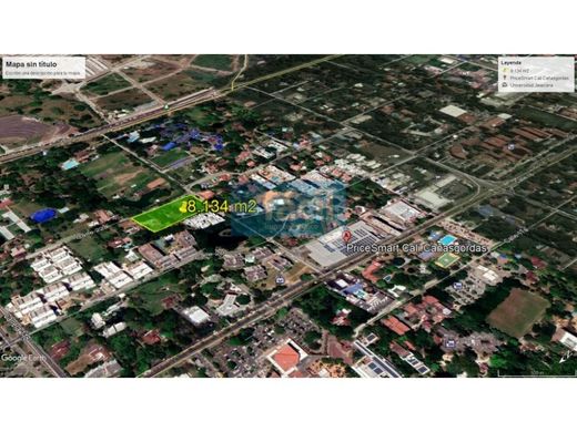 地皮  卡利, Cali